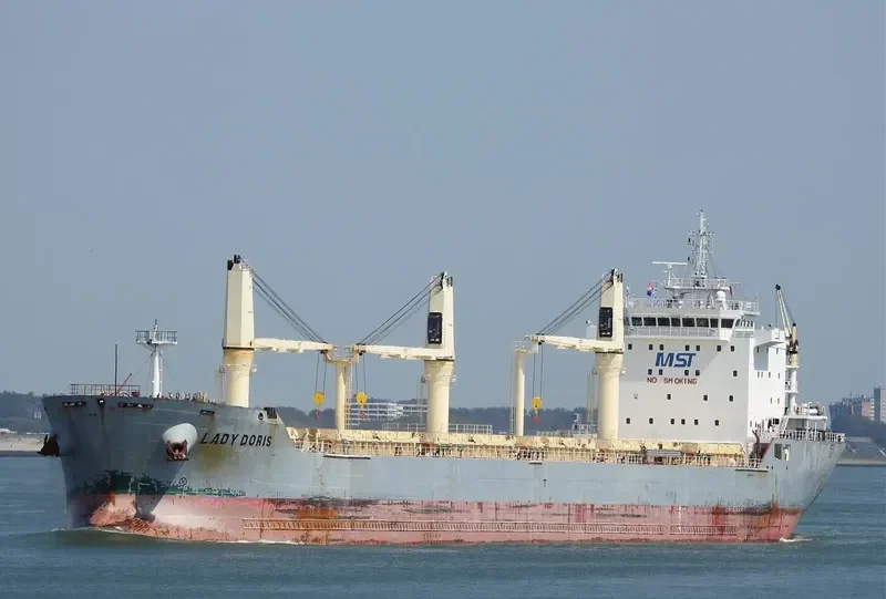 LADY DORIS Bulk Carrier IMO 9459955 photo 9