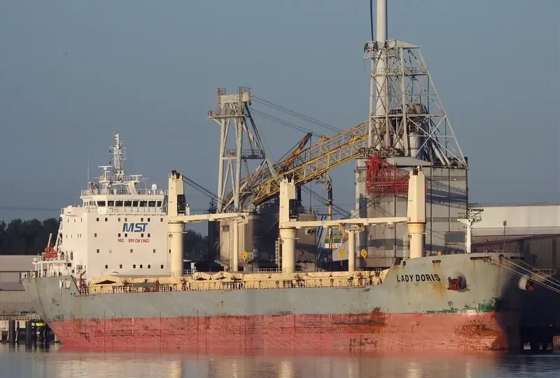 LADY DORIS Bulk Carrier IMO 9459955 photo 10