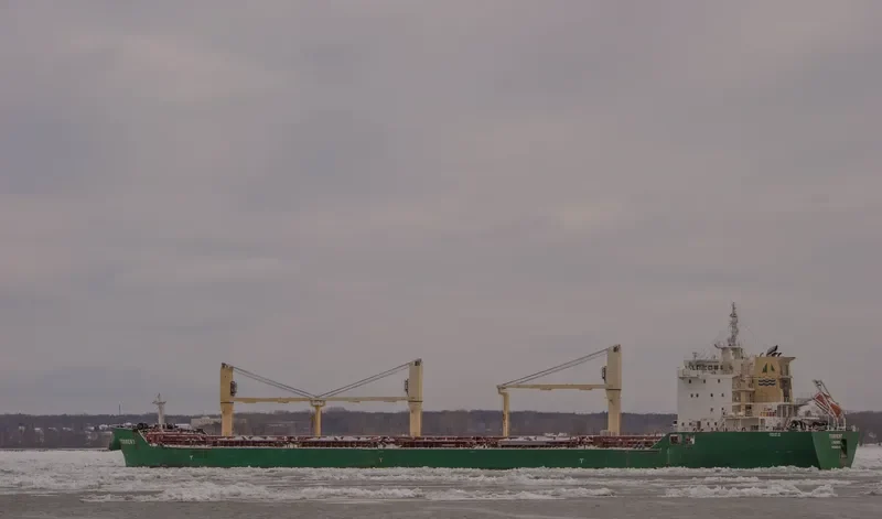 SHOVELER Bulk Carrier IMO 9459979