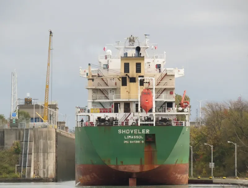 SHOVELER Bulk Carrier IMO 9459979 photo 2
