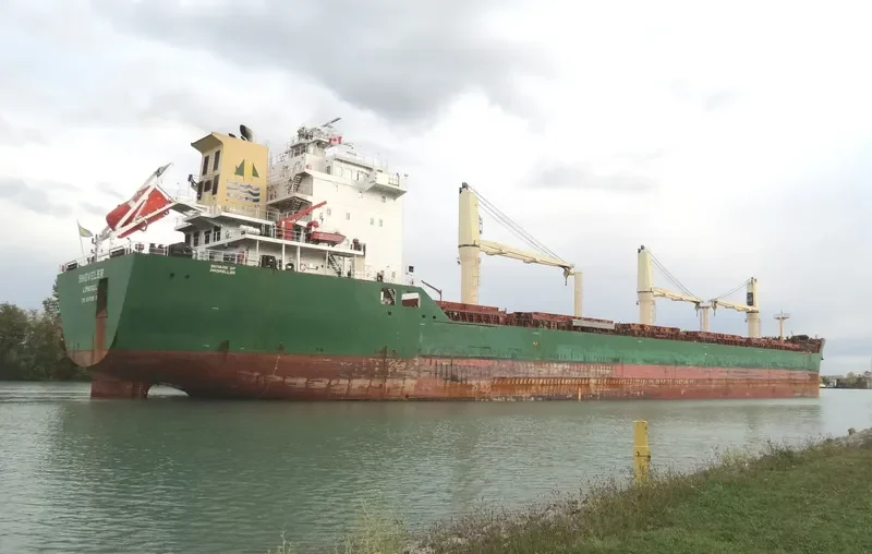 SHOVELER Bulk Carrier IMO 9459979 photo 4