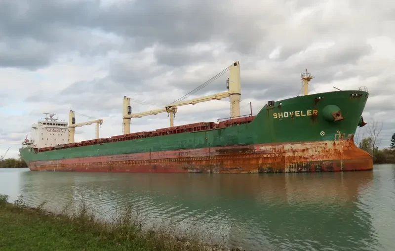 SHOVELER Bulk Carrier IMO 9459979 photo 5