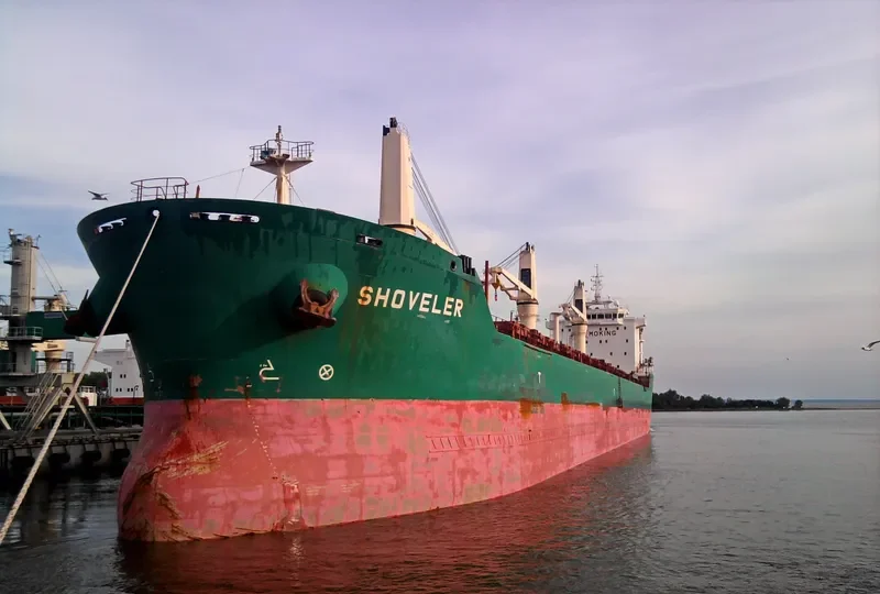 SHOVELER Bulk Carrier IMO 9459979 photo 10