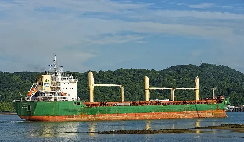 RUDDY Bulk Carrier IMO 9459981 photo 2