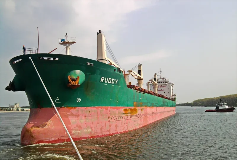 RUDDY Bulk Carrier IMO 9459981 photo 5