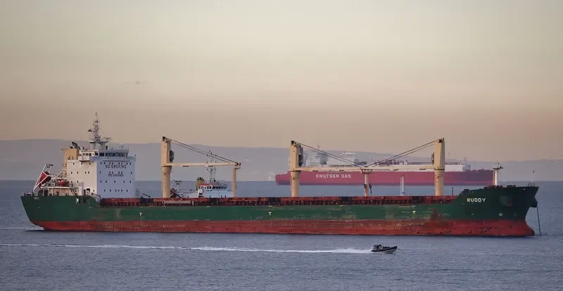 RUDDY Bulk Carrier IMO 9459981 photo 6