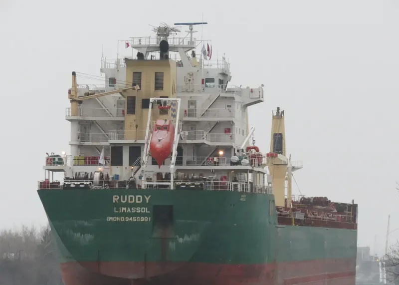 RUDDY Bulk Carrier IMO 9459981 photo 9