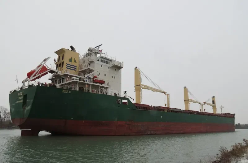 RUDDY Bulk Carrier IMO 9459981 photo 10