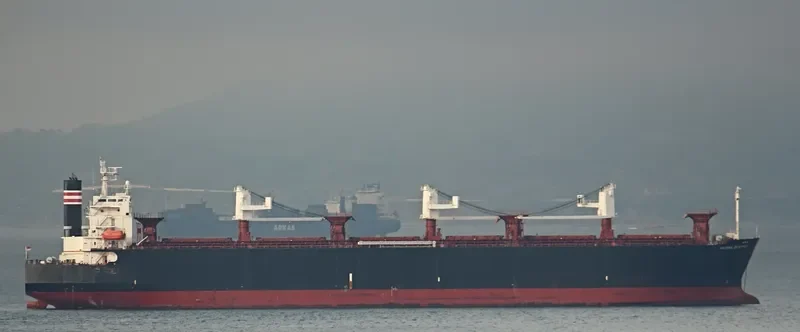 MCQUEEN Bulk Carrier IMO 9460007 photo 4