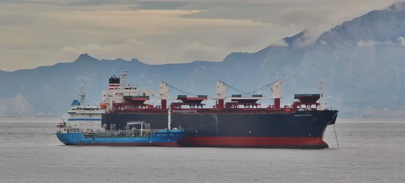 MCQUEEN Bulk Carrier IMO 9460007 photo 5