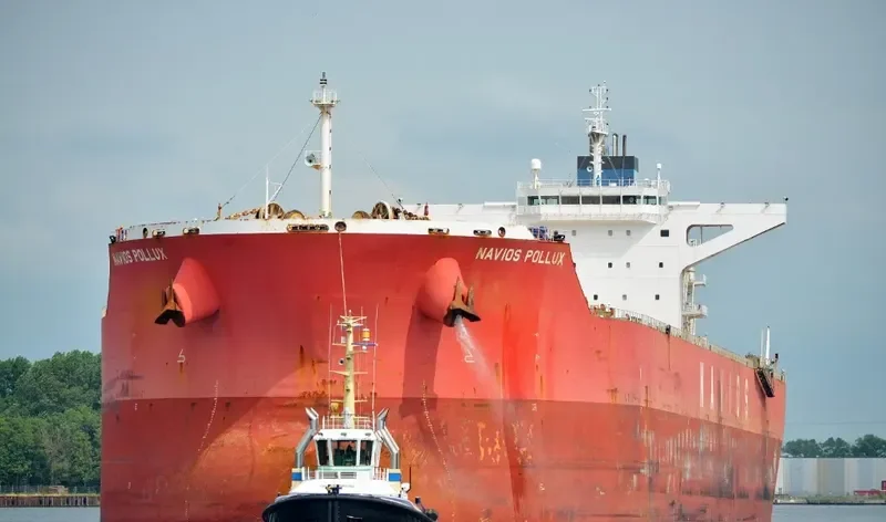 NAVIOS POLLUX Bulk Carrier IMO 9460033 photo 3