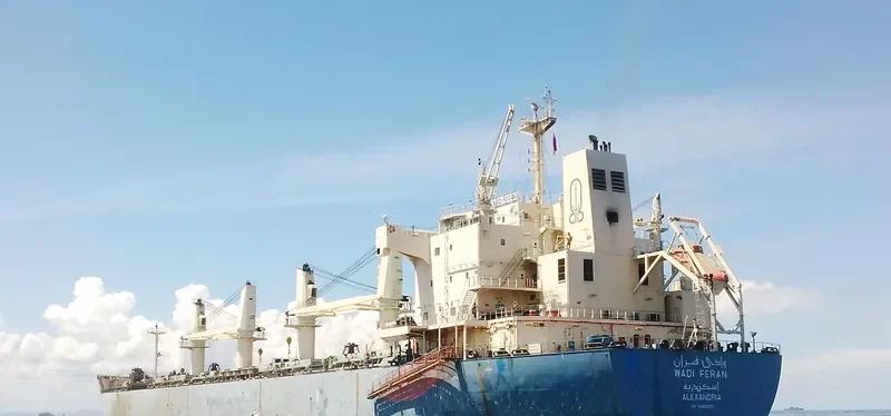 WADI FERAN Bulk Carrier IMO 9460083