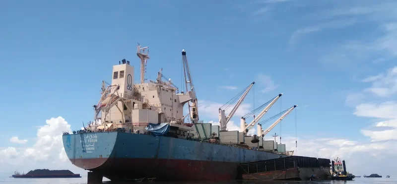 WADI FERAN Bulk Carrier IMO 9460083 photo 2