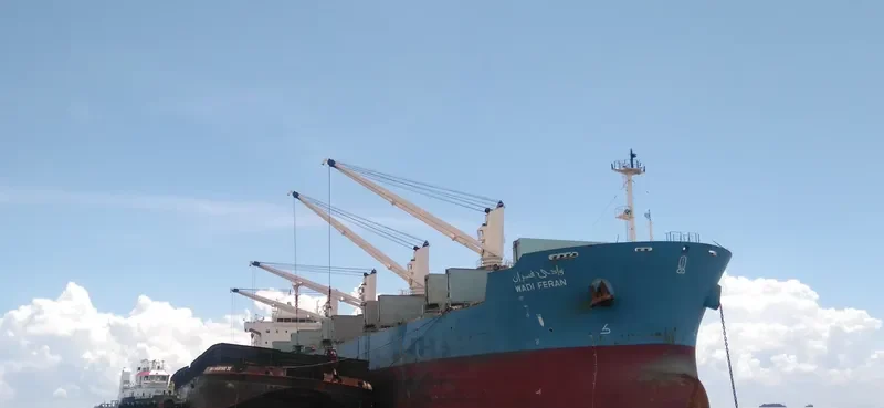 WADI FERAN Bulk Carrier IMO 9460083 photo 3