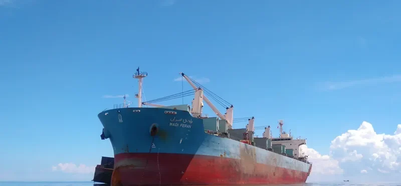 WADI FERAN Bulk Carrier IMO 9460083 photo 4