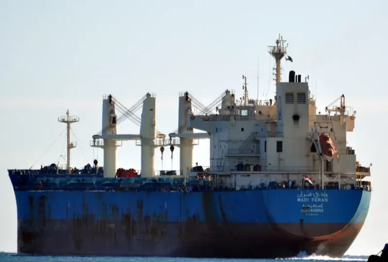 WADI FERAN Bulk Carrier IMO 9460083 photo 6