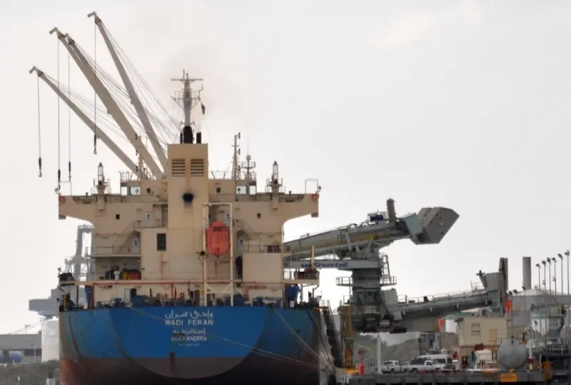 WADI FERAN Bulk Carrier IMO 9460083 photo 7