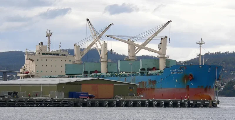 WADI FERAN Bulk Carrier IMO 9460083 photo 8