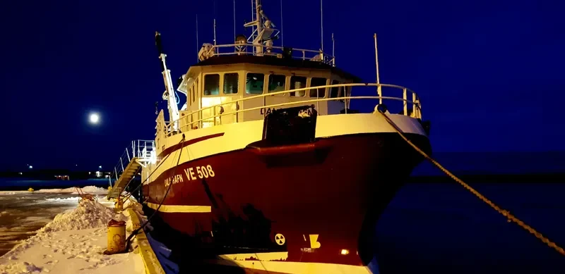 DALA RAFN General Cargo IMO 9460148 photo 2
