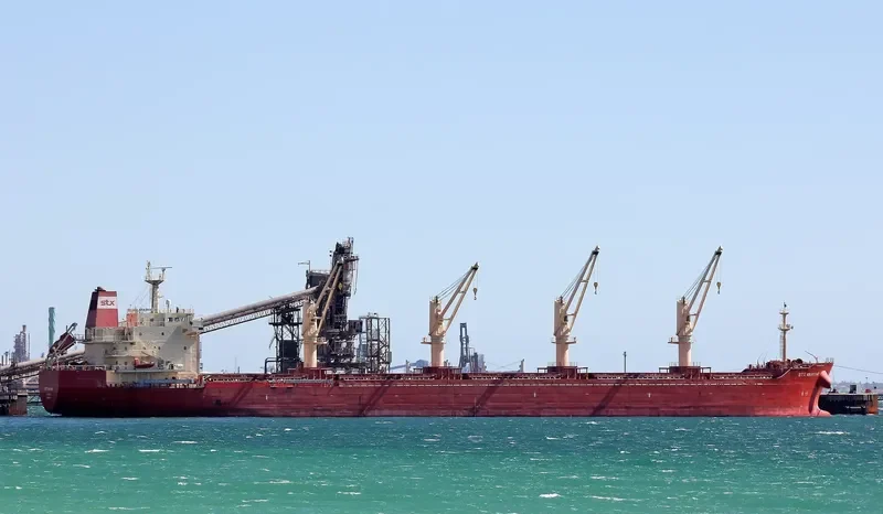 PAN KRISTINE Bulk Carrier IMO 9460186 photo 7