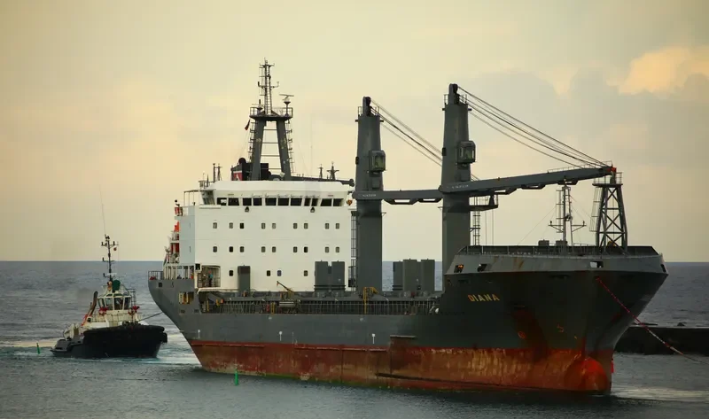 FLEET TRADER 2 Bulk Carrier IMO 9460253