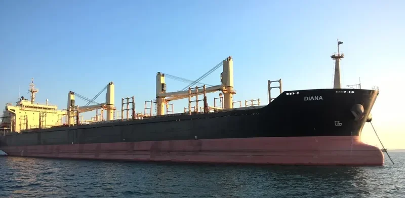 FLEET TRADER 2 Bulk Carrier IMO 9460253 photo 2