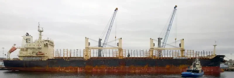 FLEET TRADER 2 Bulk Carrier IMO 9460253 photo 3