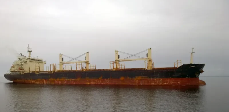 FLEET TRADER 2 Bulk Carrier IMO 9460253 photo 4