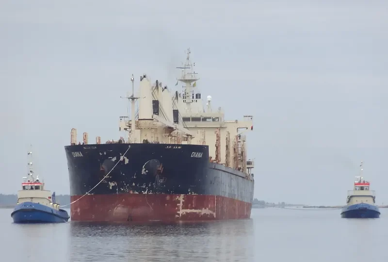 FLEET TRADER 2 Bulk Carrier IMO 9460253 photo 6
