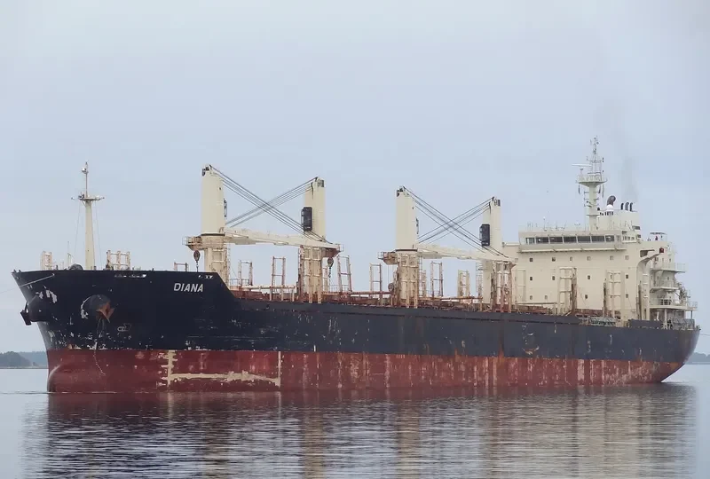 FLEET TRADER 2 Bulk Carrier IMO 9460253 photo 7