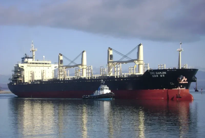 FLEET TRADER 2 Bulk Carrier IMO 9460253 photo 8