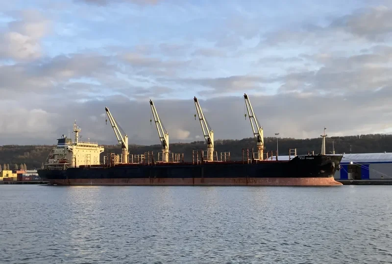 FLEET TRADER 2 Bulk Carrier IMO 9460253 photo 9