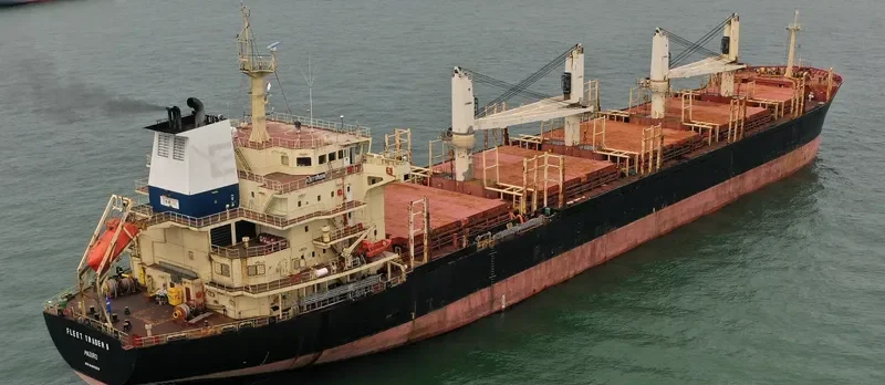 FLEET TRADER 2 Bulk Carrier IMO 9460253 photo 10