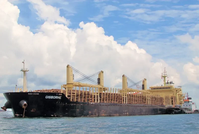FEYHA Bulk Carrier IMO 9460265 photo 6
