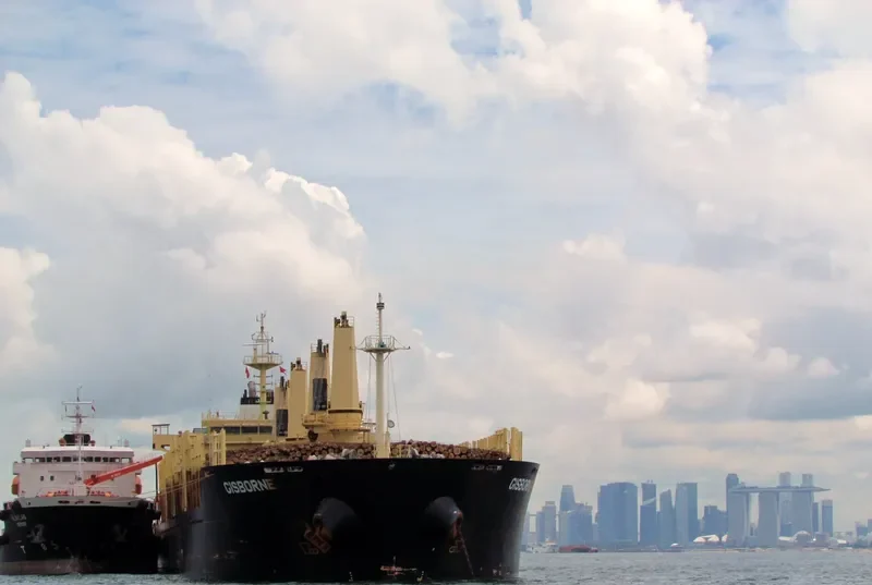 FEYHA Bulk Carrier IMO 9460265 photo 9