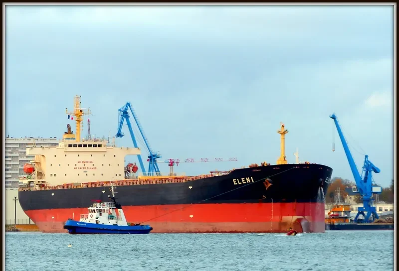 JOANNA Bulk Carrier IMO 9460277 photo 8