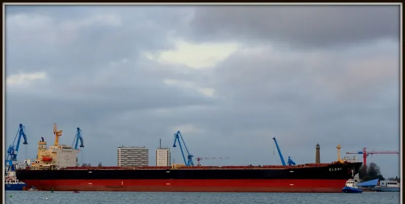 JOANNA Bulk Carrier IMO 9460277 photo 9