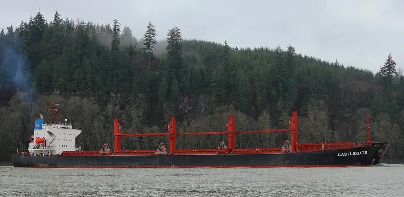 CASTLEGATE Bulk Carrier IMO 9460318 photo 2