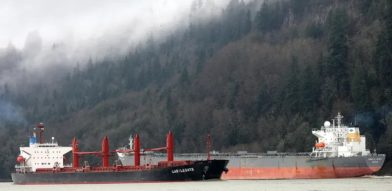 CASTLEGATE Bulk Carrier IMO 9460318 photo 3