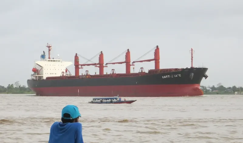 CASTLEGATE Bulk Carrier IMO 9460318 photo 4