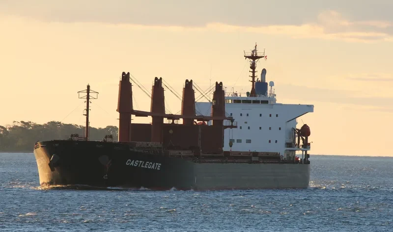 CASTLEGATE Bulk Carrier IMO 9460318 photo 10