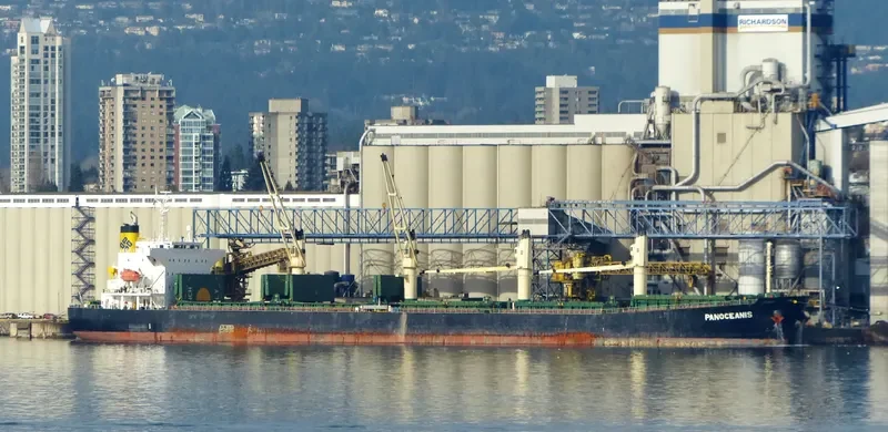 PANOCEANIS Bulk Carrier IMO 9460320 photo 3