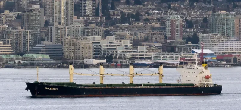 PANOCEANIS Bulk Carrier IMO 9460320 photo 5