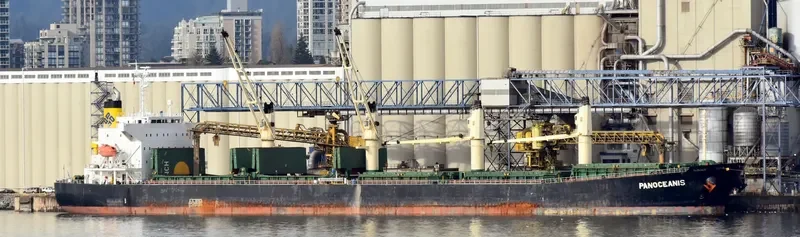 PANOCEANIS Bulk Carrier IMO 9460320 photo 6
