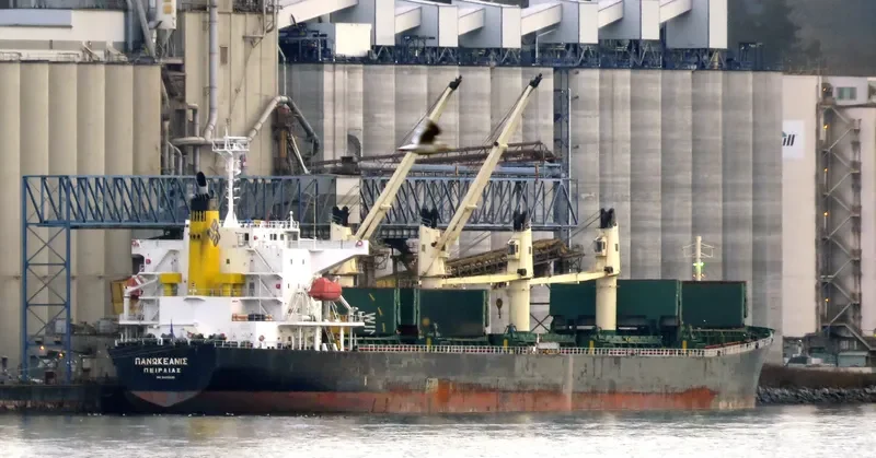 PANOCEANIS Bulk Carrier IMO 9460320 photo 7