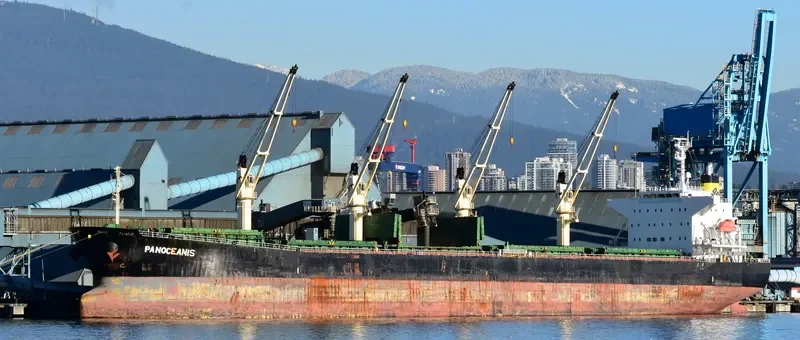 PANOCEANIS Bulk Carrier IMO 9460320 photo 8
