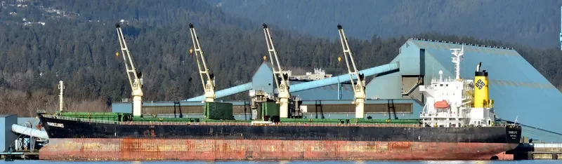 PANOCEANIS Bulk Carrier IMO 9460320 photo 9