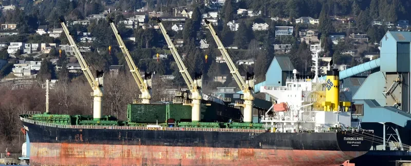 PANOCEANIS Bulk Carrier IMO 9460320 photo 10