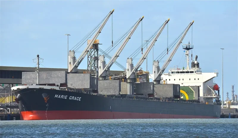 HINOKI Bulk Carrier IMO 9460332