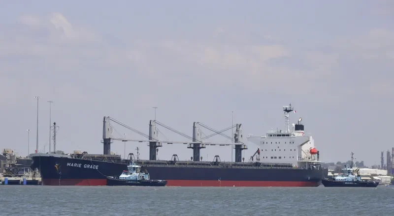 HINOKI Bulk Carrier IMO 9460332 photo 2